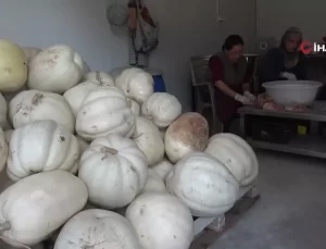 Mari’nin Bal Kabakları Umut Oldu