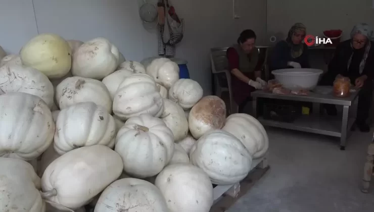 Mari’nin Bal Kabakları Umut Oldu