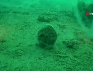 Marmara Denizi’nde Müsilaj Alarmı