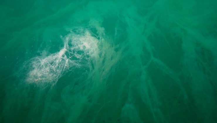 Marmara’da müsilaj alarmı! “Yüzeye 5 metre kaldı”