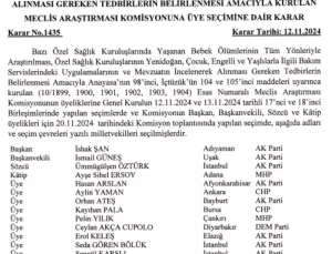 Meclis Araştırma Komisyonu Bebek Ölümlerini Araştıracak