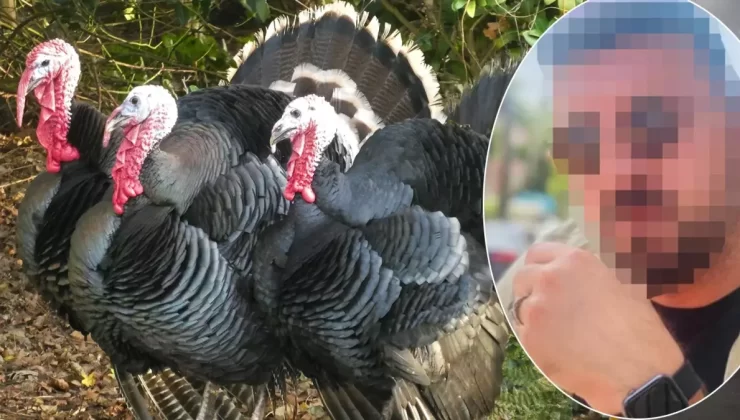 Memur 50 Milyon Lira Dolandırdı