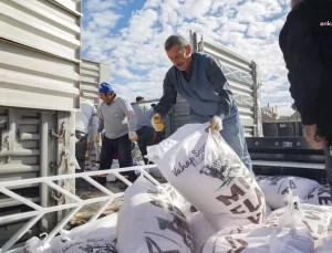 Mersin Büyükşehir Belediyesi’nden Hayvan Yetiştiricilere Destek