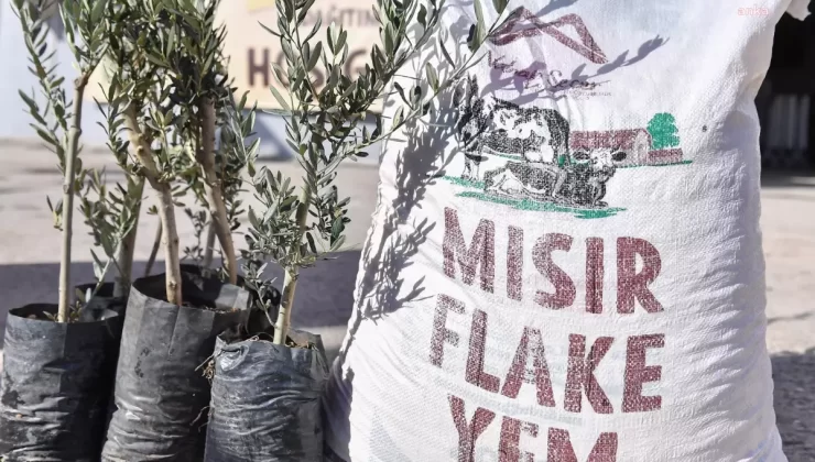 Mersin Büyükşehir Belediyesi’nden Tarıma Destek: 3.360 Zeytin Fidanı ve 56 Ton Mısır Yem Dağıtımı