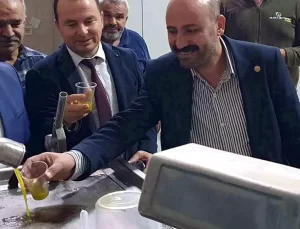 Mersin Mut’ta Zeytin Fiyatları Düşüyor