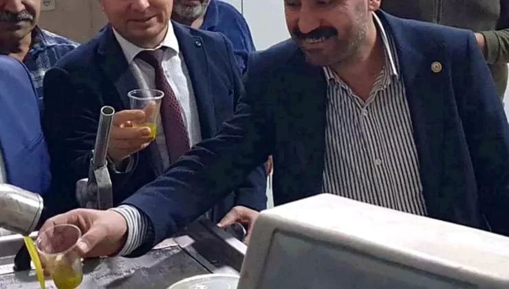 Mersin Mut’ta Zeytin Fiyatları Düşüyor