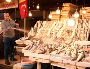 Mersin’de 18 Kiloluk Torik Balığı İlgi Gördü