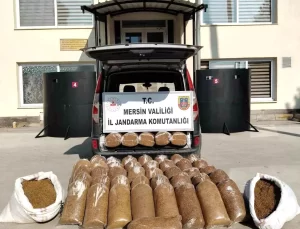 Mersin’de 455 kg Kaçak Tütün Ele Geçirildi