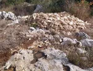 Mersin’de Boş Arazide Yüzlerce Ölü Tavuk Bulundu