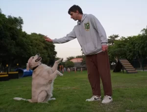 Mersin’de Geri Dönüşümle Pati Park Açıldı