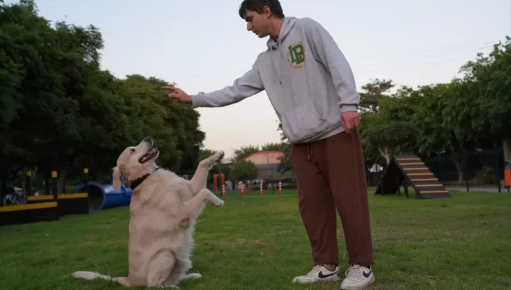Mersin’de Geri Dönüşümle Pati Park Açıldı