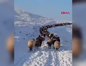 Mersin’de İki Mevsim Birden Yaşanıyor
