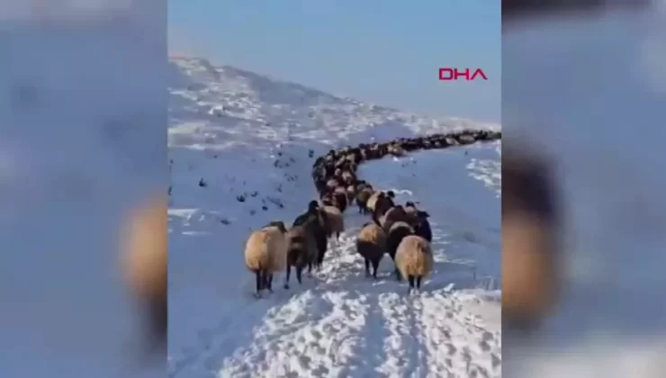 Mersin’de İki Mevsim Birden Yaşanıyor