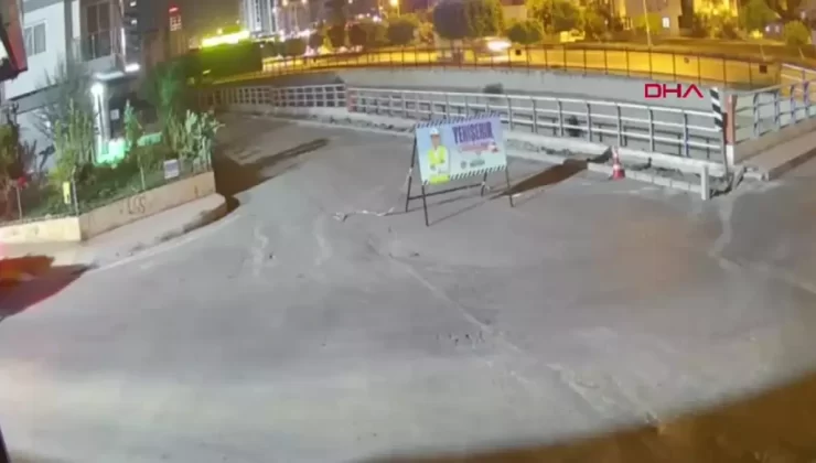 Mersin’de Köpek Kazası, Sürücü Kaçtı