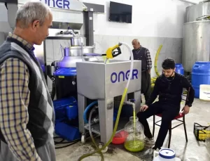 Mersin’de Zeytinyağı Telaşı