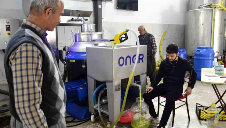 Mersin’de Zeytinyağı Telaşı