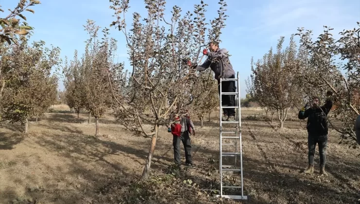 Meyve Genetik Kaynakları Korunuyor