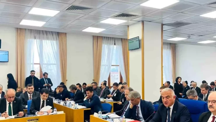 MHP’li Ersoy’dan Kültürel Yatırımlara Vurgu