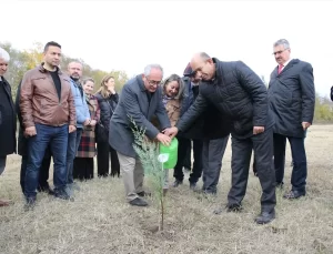 Milli Ağaçlandırma Günü Kutlandı