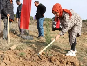 Milli Ağaçlandırma Günü’nde Fidan Dikimi