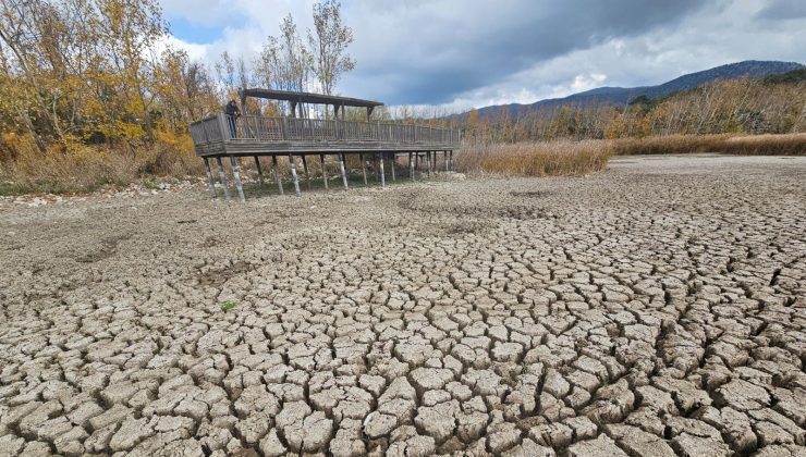 Milli parkın yürek burkan hali: Kovada Gölü’ne gelenler çatlak toprak izliyor!