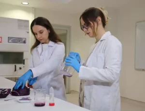 Mor Lahana ile Doğal Kozmetik Ürünleri Üretimi