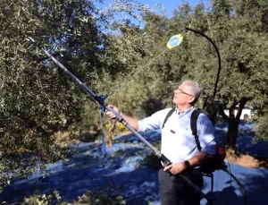 Mudanya Belediye Başkanı Dalgıç’tan Zeytin Üreticisine Destek