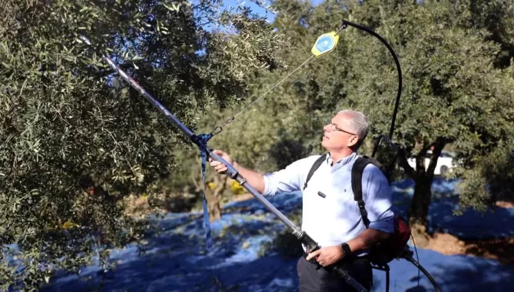 Mudanya Belediye Başkanı Dalgıç’tan Zeytin Üreticisine Destek