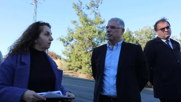 Mudanya Belediyesi’nden Sokak Hayvanlarına Rehabilitasyon Merkezi