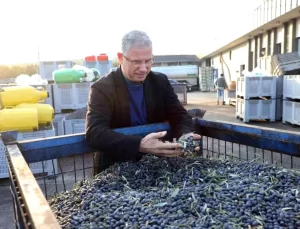 Mudanya, Zeytin Turizmi ile Marka Şehir Olma Yolunda