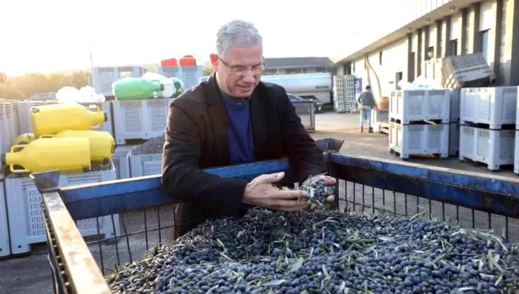 Mudanya, Zeytin Turizmi ile Marka Şehir Olma Yolunda