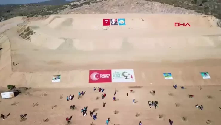 Muğla’da 20 Bin Fidan Dikildi