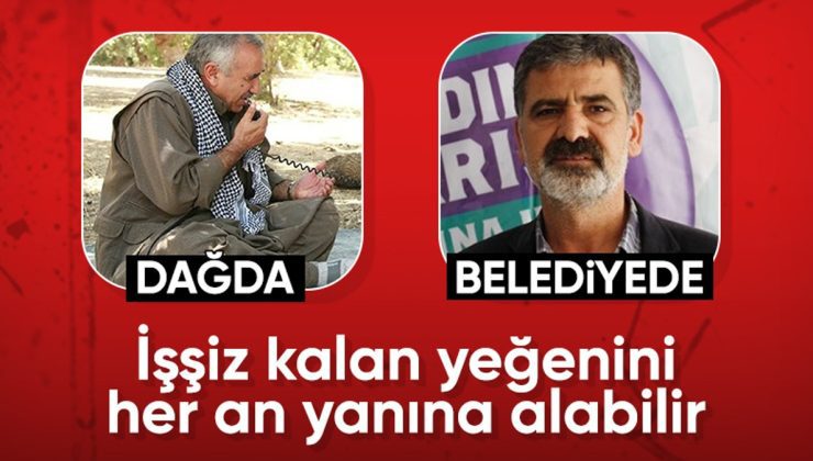 Murat Karayılan’ın yeğeni Mehmet Karayılan kayyum atanınca işsiz kaldı