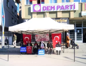 Muş’ta Ailelerin Eylemi 171. Haftada Devam Ediyor