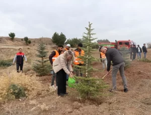Nallıhan’da Fidan Dikimi Etkinliği
