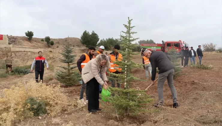 Nallıhan’da Fidan Dikimi Etkinliği