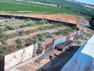 Narin Güran cinayetinde yeni detay: Cansız bedeni 38 dakikada sakladı