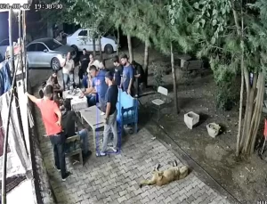 Narin Güran Cinayetinde Yeni Gelişme