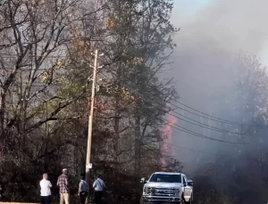 New Jersey’de 14 Yaşındaki Çocuk Orman Yangını Nedeniyle Gözaltında