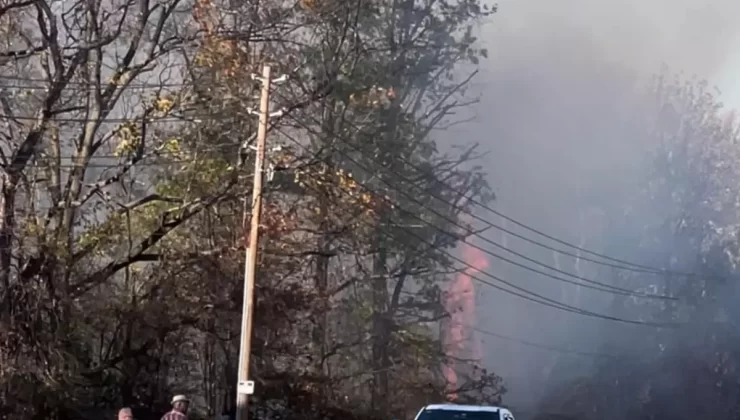 New Jersey’de 14 Yaşındaki Çocuk Orman Yangını Nedeniyle Gözaltında