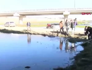 Nilüfer Çayı’nda Balık Ölümleri