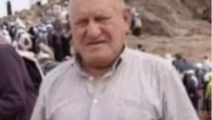 Nusaybin’de Otomobil Çarpan 70 Yaşındaki Adam Hayatını Kaybetti