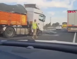 Nusaybin’de TIR Kazası: 2 Büyükbaş Hayvan Öldü