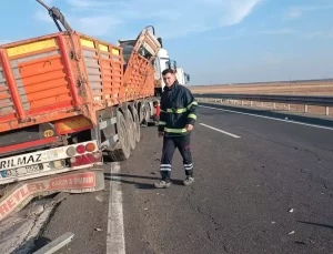 Nusaybin’de TIR Kazası: İki Büyükbaş Öldü
