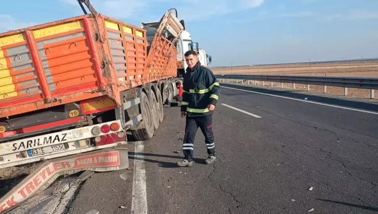 Nusaybin’de TIR Kazası: İki Büyükbaş Öldü
