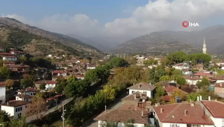 Ödemişli Kadınlardan Çini Girişimi