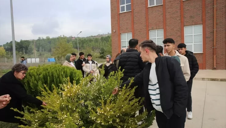 Öğrenciler Ağaçları Tanıyor