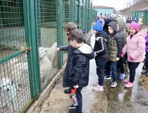 Öğrencilerden Hayvanlara İyilik Ziyareti