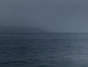 Öğretmenler Günü’nde Çiçek Yoğunluğu