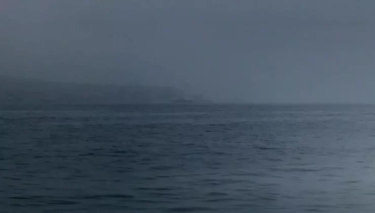 Öğretmenler Günü’nde Çiçek Yoğunluğu